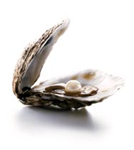 Life Settlements Oyster Pearl